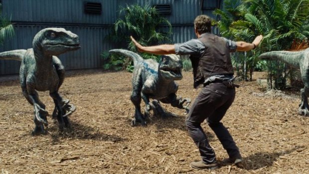 Owen (Chris Pratt) training raptors in <i>Jurassic World</i>.