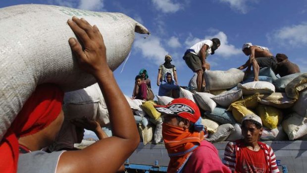 Vital supplies: A truck in Tacloban is loaded with sacks of rice from a destroyed warehouse.