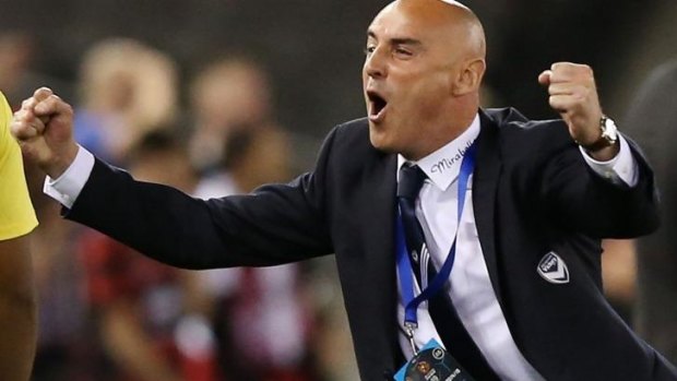 Man with a plan: Melbourne Victory's Kevin Muscat.