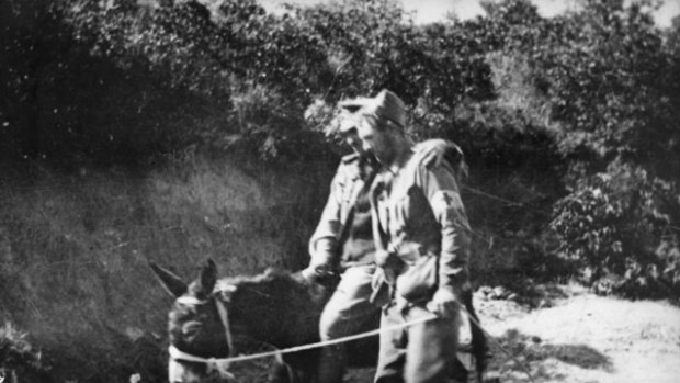 Private John Simpson Kirkpatrick, of the 3rd Field Ambulance, he was known as 'The Man with the Donkey'. He is seen here working in Shrapnel Gully at Anzac Cove, with a wounded soldier on his donkey.

*** MUST CREDIT: Australian War Memorial, P09300.001 ***

ID: mls

WWI / W.W. I / ANZAC