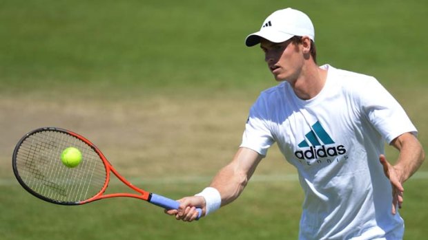 Professional contrarian ... Andy Murray is a member of the awkward squad.