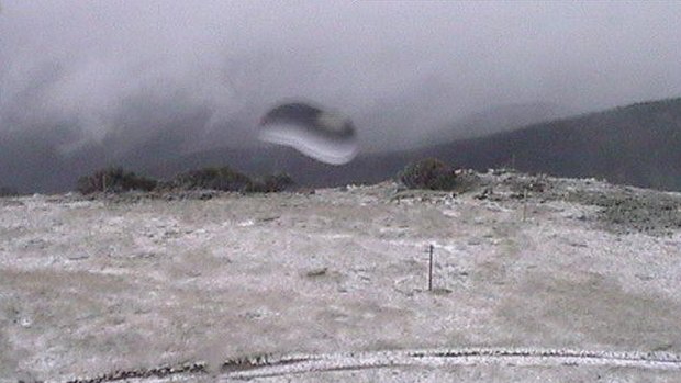 Wintry blast ... Falls Creek's live camera captured light snow falls this afternoon.