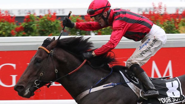 Sing it: Peter Robl salutes Your Song's BTC Cup win at Eagle Farm on Saturday.