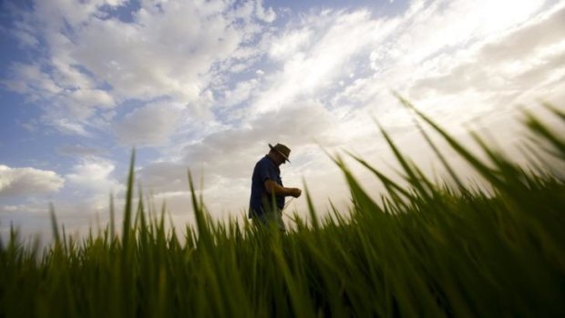 Job numbers in agriculture are growing strongly, thanks to Chinese demand.