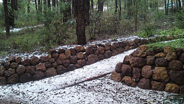 A freak hailstorm in the Perth Hills leaves gardens carpeted with ice.