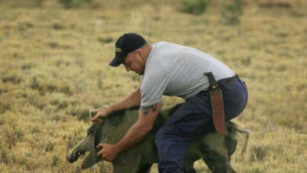 "Recreational hunting in national parks is strongly opposed by other recreational users" ... Department of Environment advice.