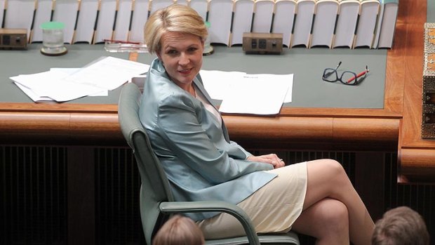 "Nasty surprise": Tanya Plibersek didn't hold back responding to the announcements made by the Department of Family and Community Services.