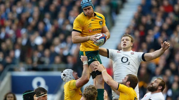 Up and about: Wallabies second-rower James Horwill in action.