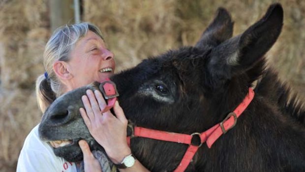 It's a donkey's life at Tongala, where unwanted, abused and rescued donkeys get a second chance at life, thanks to refuge owner Dr May Dodd.