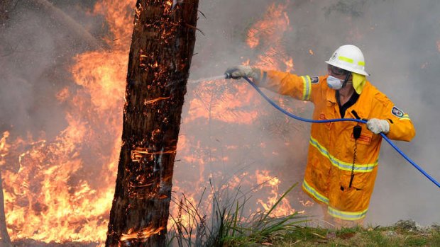 Not for the faint hearted: The Rural Fire Service has been praised for its heroic efforts to save communities.