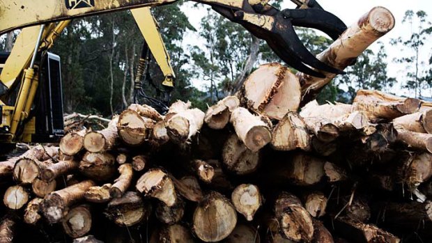 Laws 'lack sufficient protection' from damaging practices including illegal logging.