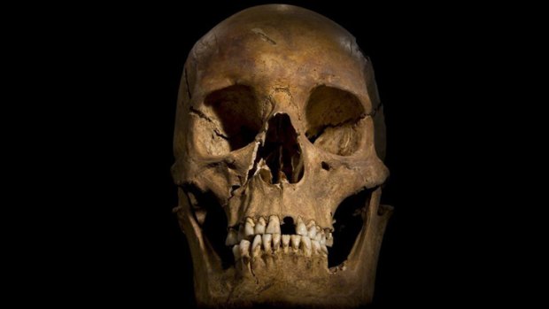 The skull of Richard III, part of the remains found underneath a car park last September.