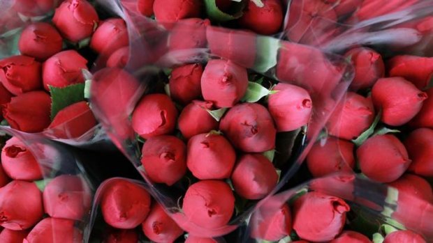 More and more: Thousands of dollars worth of roses may not bring true Valentine's Day happiness.