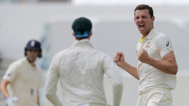 Australia's Josh Hazlewood celebrates the wicket of England's Dawid Malan on Monday.