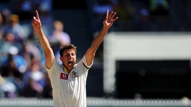 James Pattinson... an irresistible combination of old-fashioned aggression and disciplined lines and lengths.