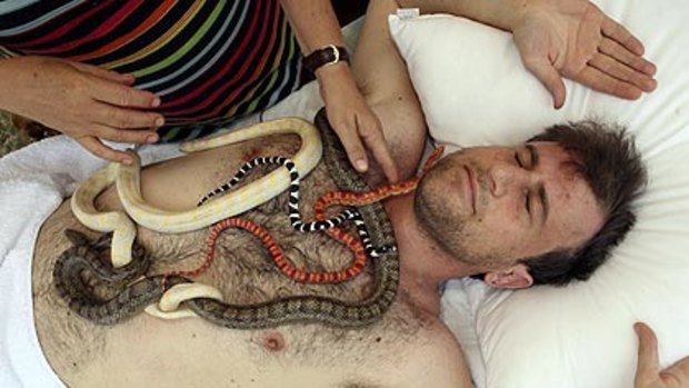 "They find the knotted muscles that need the most attention" ... Jason Koutsoukis enjoys the massage that Madonna is thinking about, featuring a California kingsnake.
