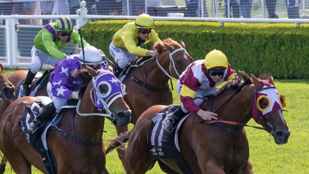 Swooper: Faraway Town zooms to victory first-up at Randwick.