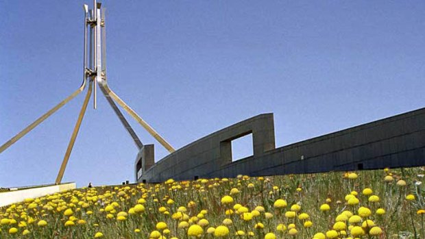 Going native ... how Parliament House might look covered in native flowers.