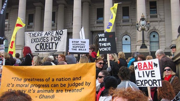 Thousands rallied across the country to protest against Australia's live animal export trade.