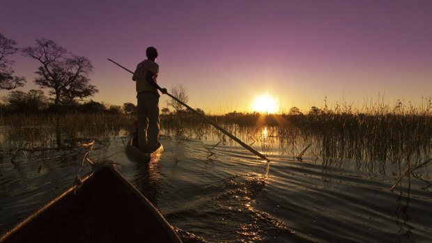 Traditional canoes traverse the wetlands in Okavango, Botswana.