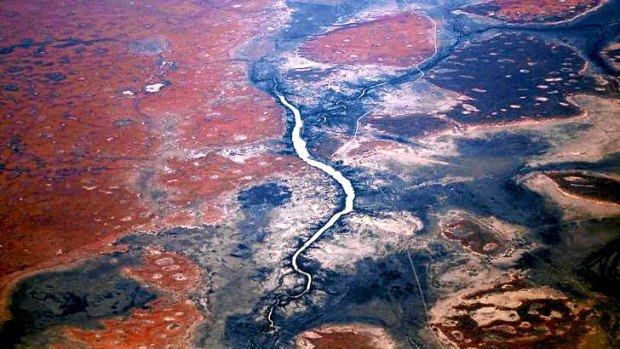 Tanami Desert in northern Australia - ripe for afforestation?