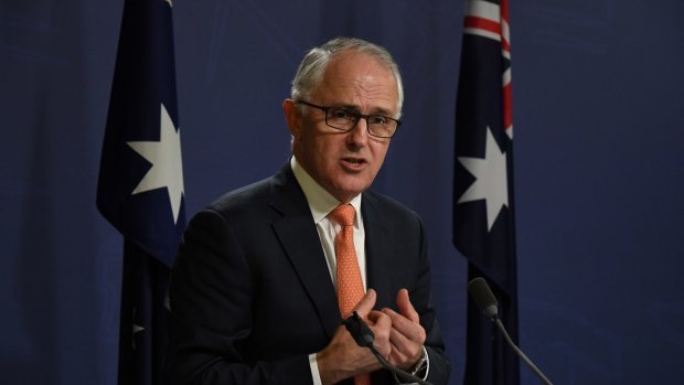 Malcolm Turnbull has blamed Labor's "Mediscare" campaign for the loss of seats.