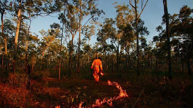 Burning projects run by indigenous people are helping combat savanna wildfires.