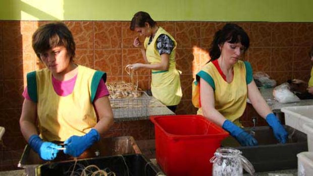 Women work at a hair factory in Yukhnov, Kaluga region, Russia.