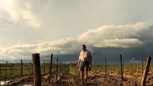 Without an income for months ... Ian Gehrke has lost most of his tomato crop due to the flood damage to his farm at Lake Clarendon.