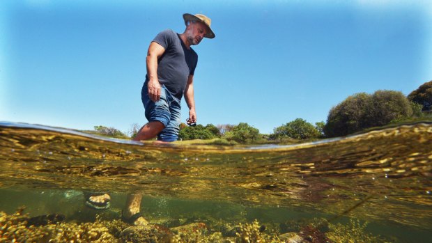 Tim Flannery is concerned a plan to extend Beaumaris yacht club would damage a nearby fossil site. 