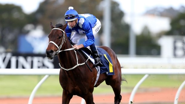 Defending champ: Winx is set for a Cox Plate showdown with Hartnell. 