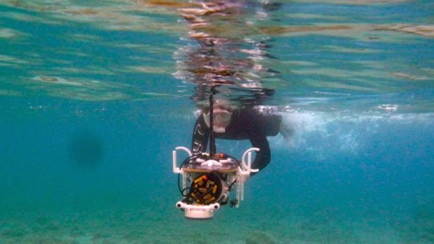 A diver explores the underwater City of Pavlopetri.