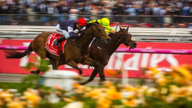 Melbourne Cup Day is the biggest gambling day on the Australian calendar.