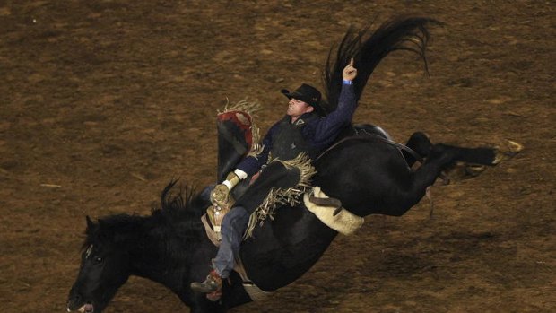 Wild ride ... rodeos make for an exciting night out.