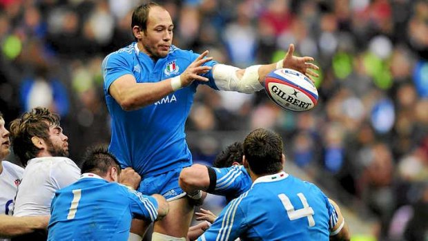 Italy's captain Sergio Parisse wins the ball in a line-out.