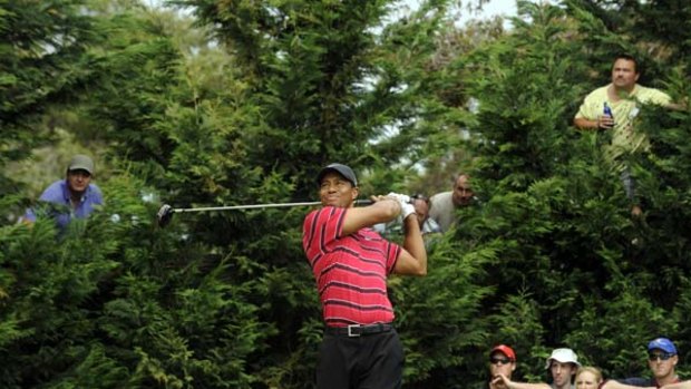 Tiger spotting . . . Tiger Woods tees off on the 18th.
