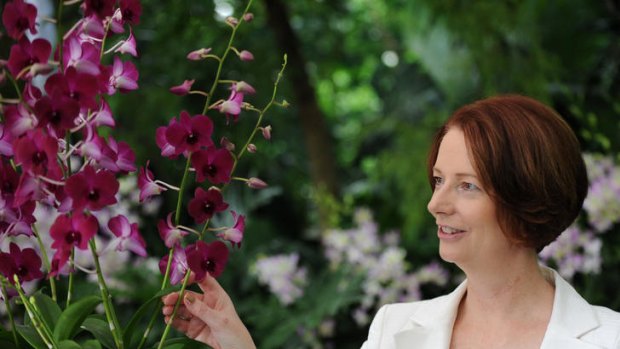 Australian Prime Minister Julia Gillard looks at the Orchids named after her, "Dendrobium Julia Gillard", during their visit at the National Orchid Garden in Singapore.