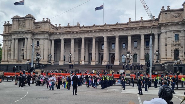 Police deploy capsicum spray at a protest outside parliament