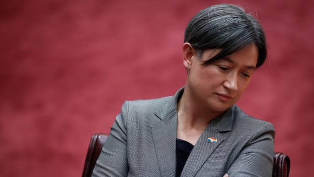 Leader of the Opposition in the Senate Penny Wong during Question TIme in the Senate, at Parliament House in Canberra on Tuesday 28 November 2017. fedpol Photo: Alex Ellinghausen