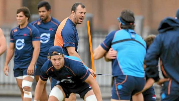 It's time: The Waratahs and coach Michael Cheika are primed for a big year - hopefully.