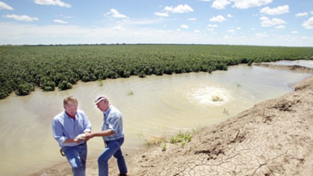 Cottoning on ... the joint managers of Cubbie Station, Paul Brimblecombe and John Grabbe, examine some of their crops.