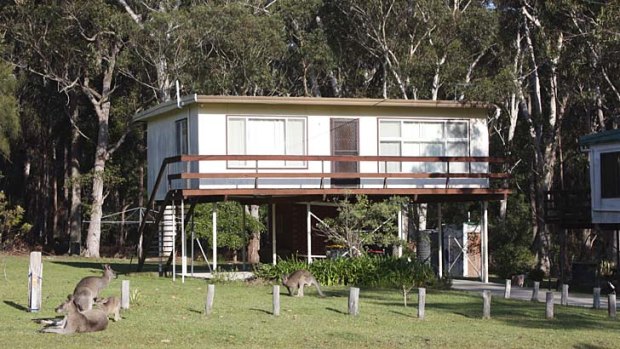 The kangaroos are back at this Bendalong cottage, for sale at $495,000.