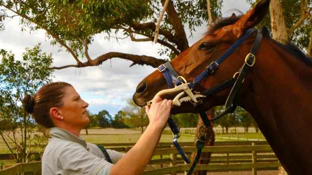 Equine dentist Jenavive Dore loves her outdoor office and meeting new people - and their horses - every day.