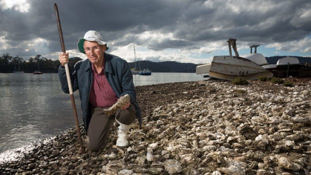 Lindsay James has spearheaded the campaign to rid Tasmania's shores of the feral Pacific Oyster.