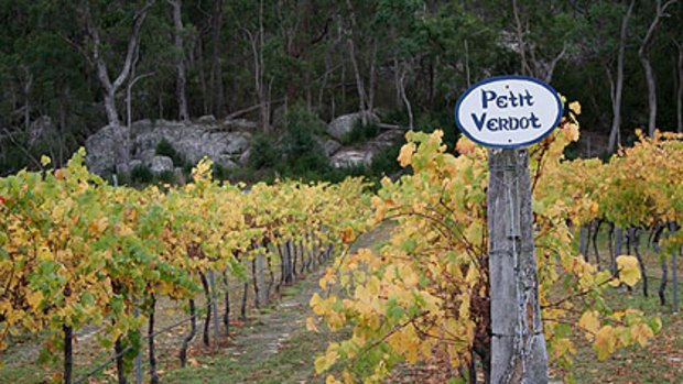'New world' wine varieties such a Petit Verdot thrive in Queensland in regions such as the Granite Belt.