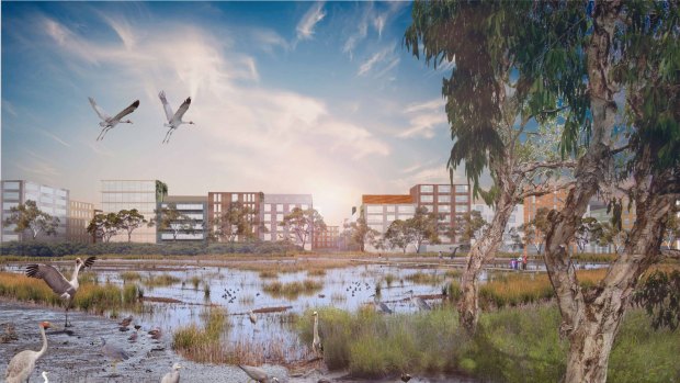 A tidal park in Port Melbourne envisaged by RMIT researchers.