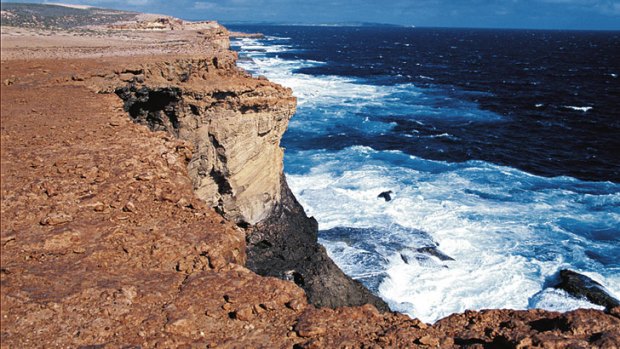 Dirk Hartog Island is set to be restored by rebuilding populations of locally extinct wildlife.