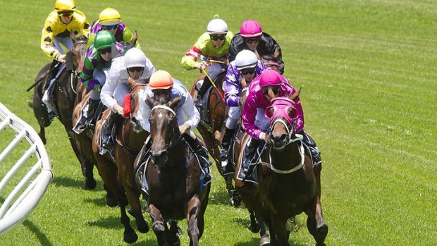 Four straight: Peter Robl (orange cap) swings on Reply Churlish as the field heads for home at Rosehill.
