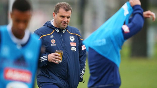 Man for the job? Victory coach Ange Postecoglou has been the standout Australian coach over the last few A-League seasons.