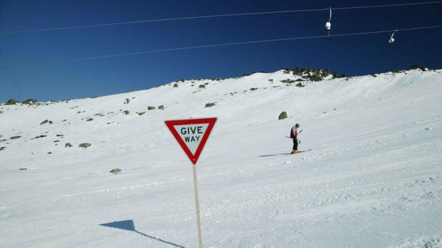 Tow the line: These slopes, says operator Kosciuzko Thredbo, are now a "complete branded entity".